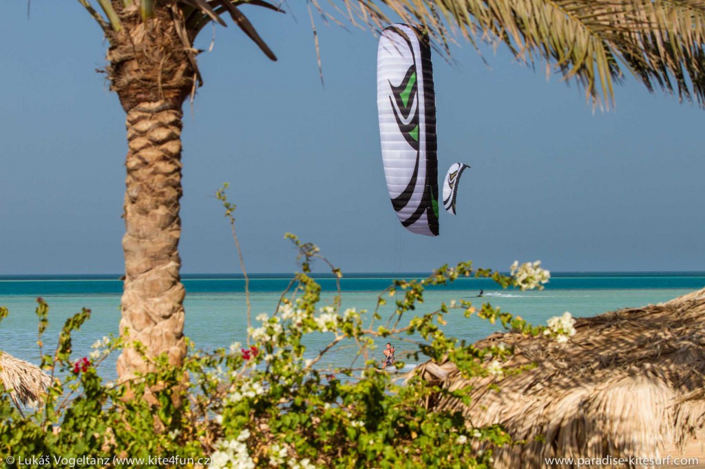 Flysurfer Speed4 Lotus 12 m