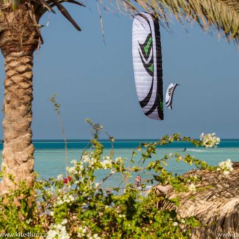 Flysurfer Speed4 Lotus 12 m